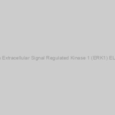 Image of Human Extracellular Signal Regulated Kinase 1 (ERK1) ELISA Kit
